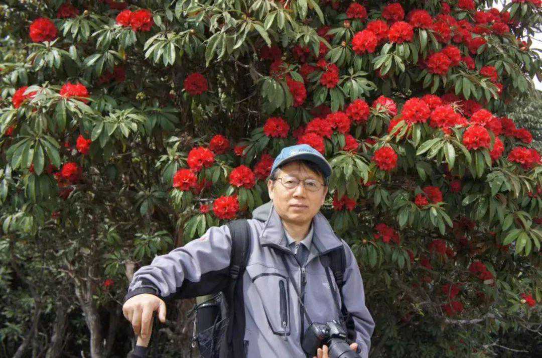 感悟自然 借物抒情丨田希丰工笔花鸟作品欣赏 感悟自然 借物抒情丨田希丰工笔花鸟作品欣赏