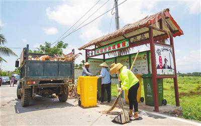 海南黄花梨手串：木质的魅力与收藏价值，探究其为何备受追捧