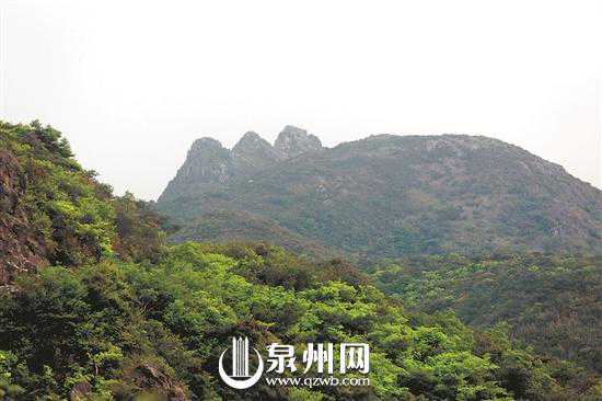 泉港又现卧佛 这次躺在山里