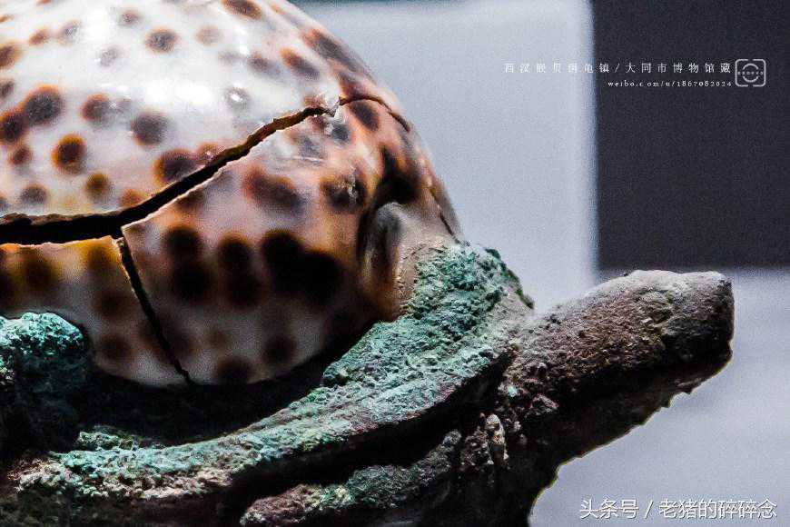 实拍来自西汉的“嵌贝铜龟镇”