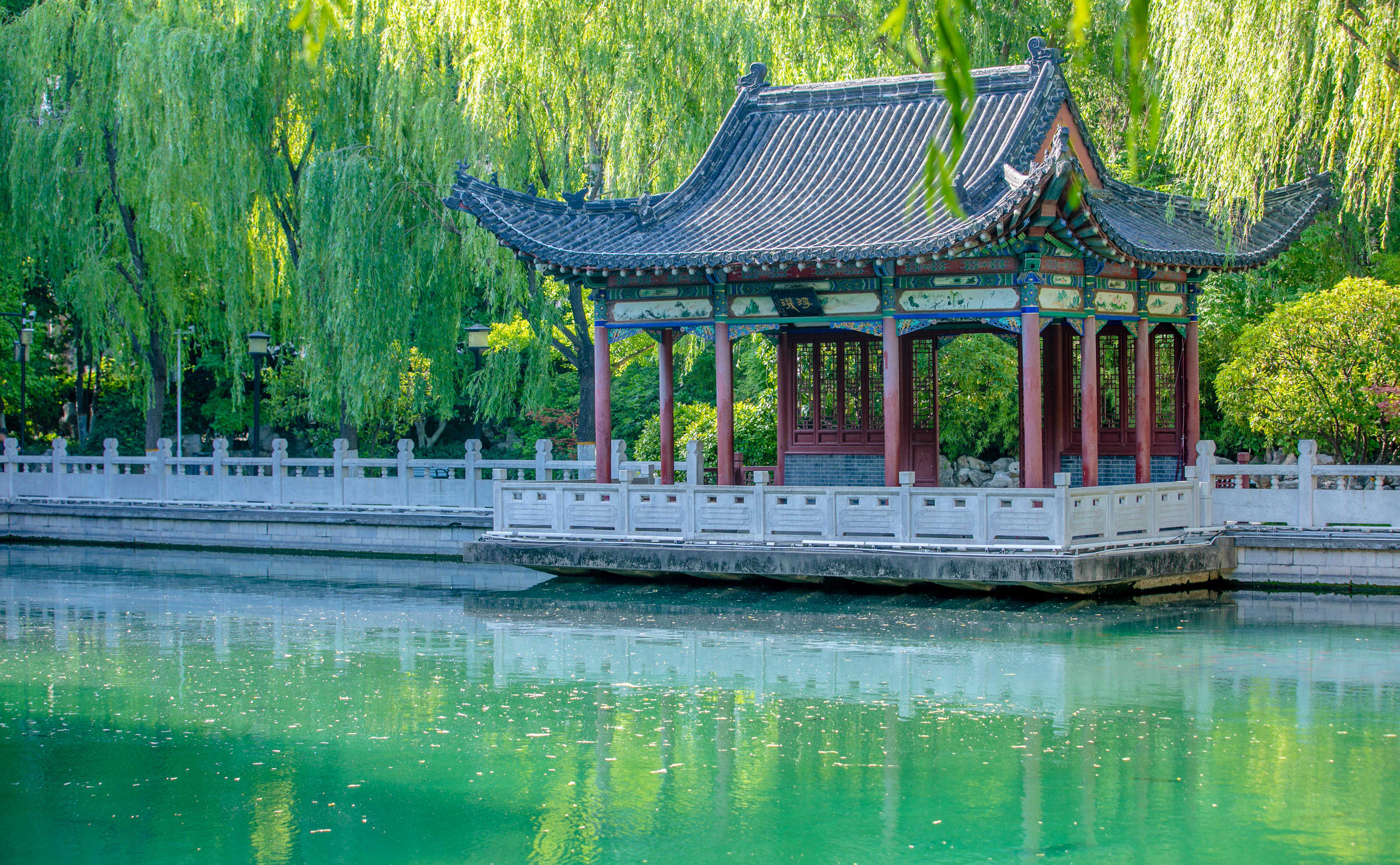 藏在老城的这眼幽静古泉，是济南府的掌上明珠