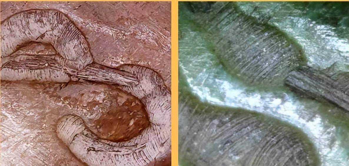 文明起源的证物——骨器