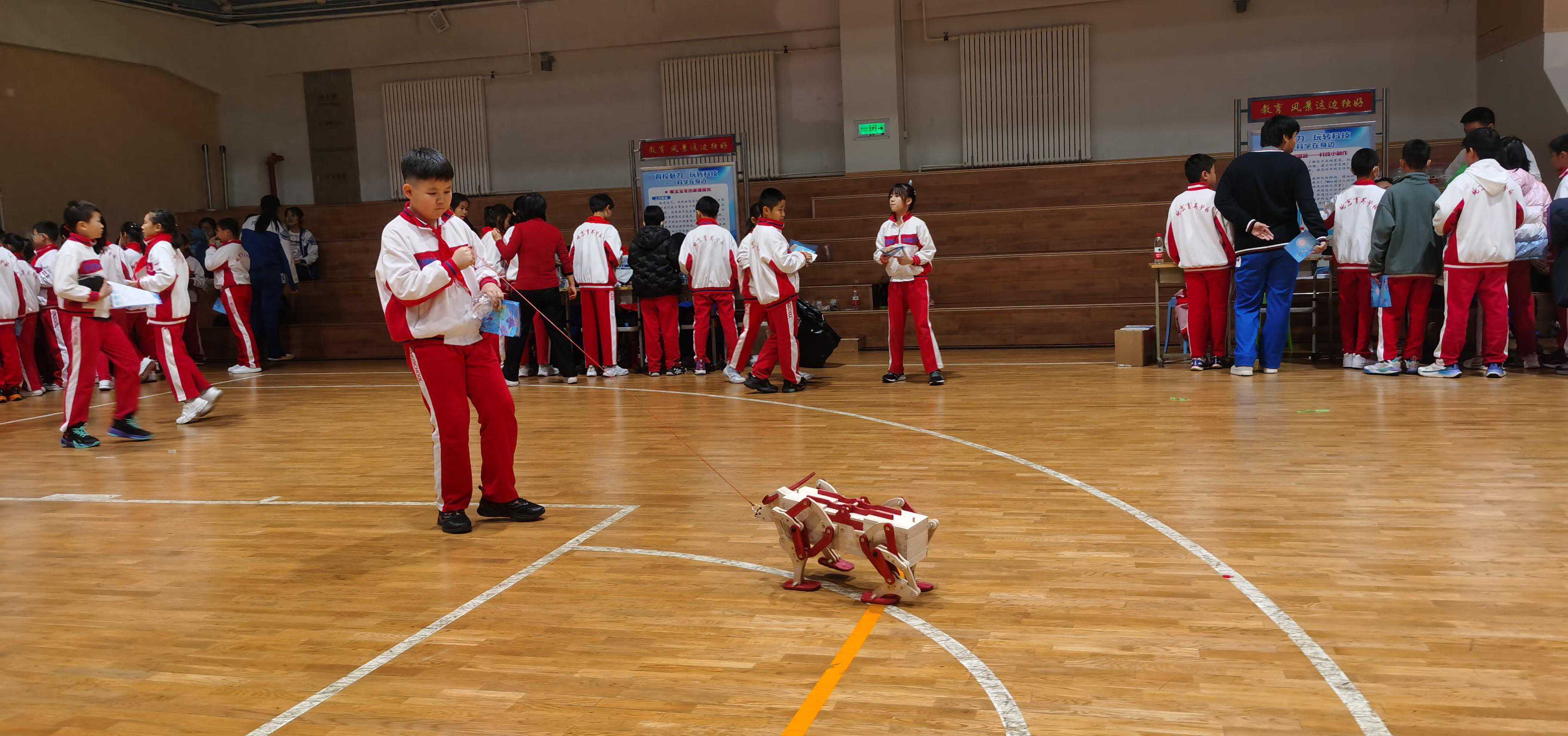 浸润在科学的快乐世界