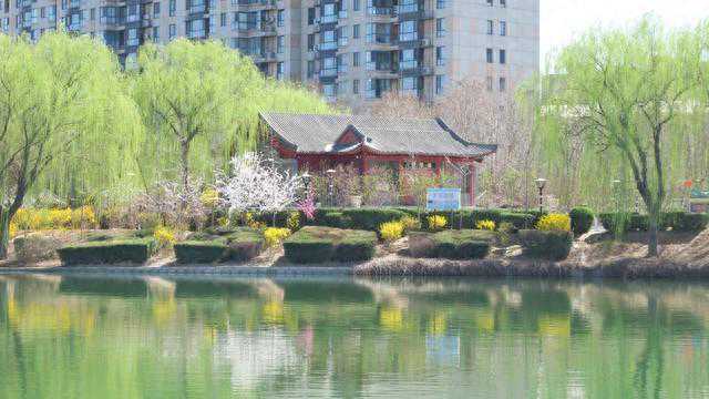 2024年／踏春赏花，品尝美食之旅／石家庄十个景点值得一游！