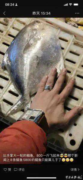 每斤售价高达千元，大鲳鱼价格“上天”！谁在消费？