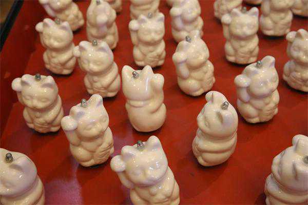 寻猫启示｜猫物语