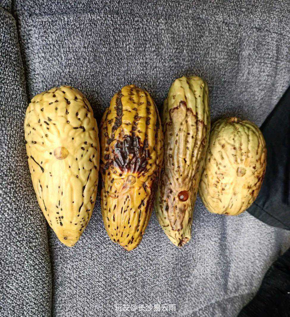 最不值钱的千眼菩提，打败了多少文玩贵族？