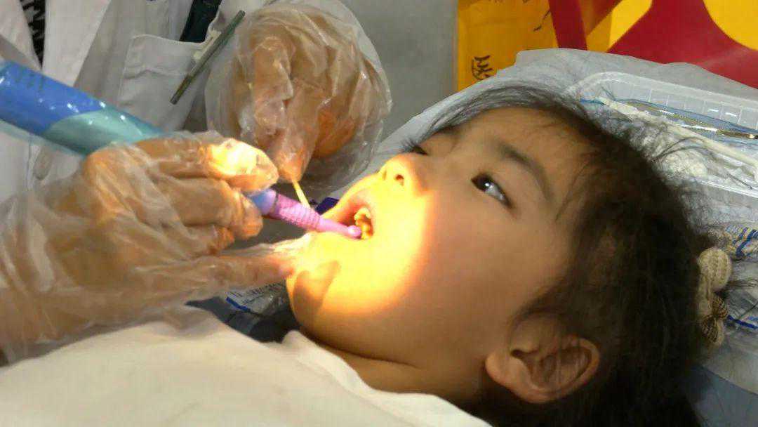 佛伽同行 让爱萌“牙” 佛伽同行 让爱萌“牙”