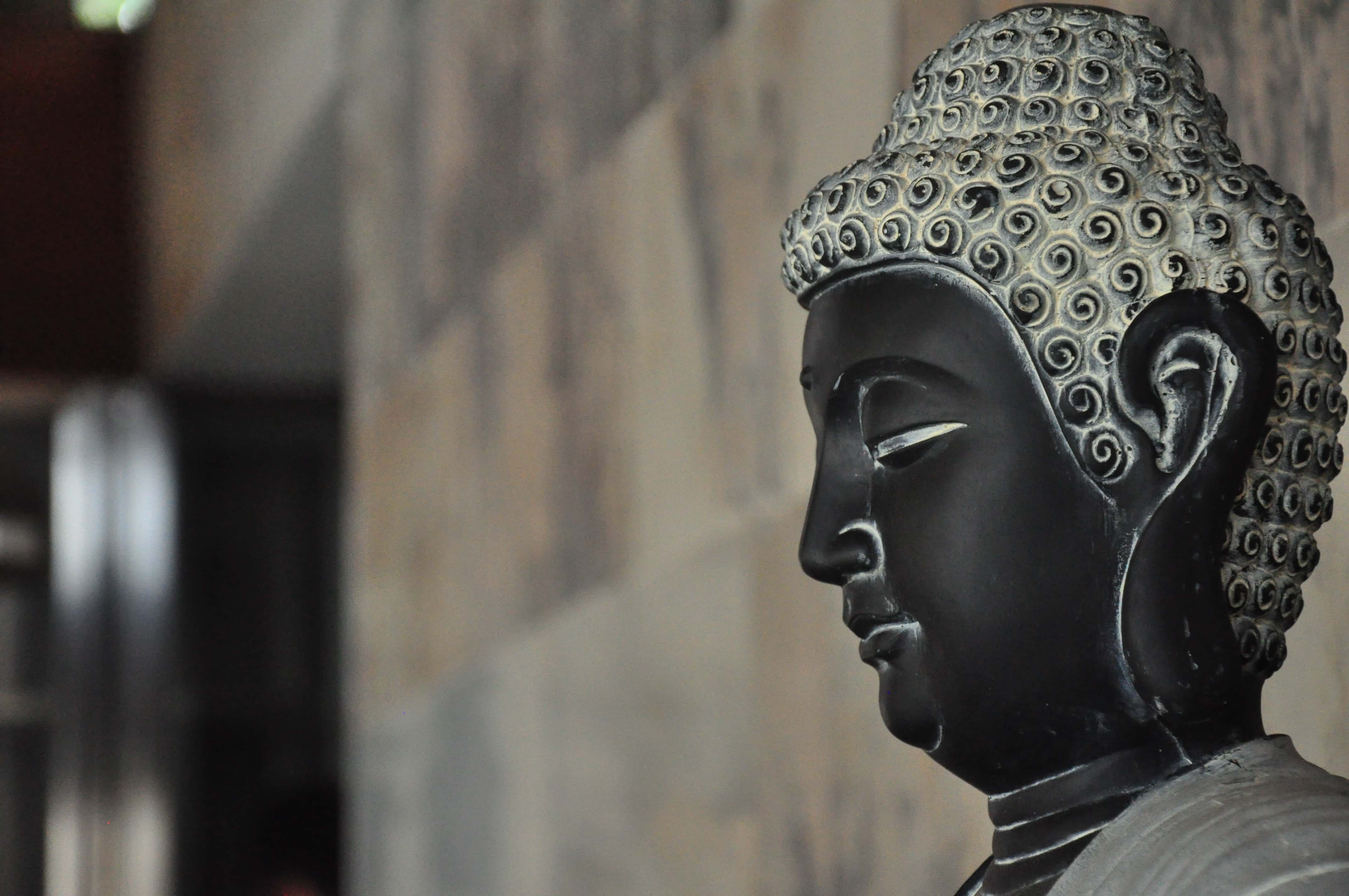 生肖羊: 压在你心里喘不过气来的那件事, 明天就会迎来转机, 接福报