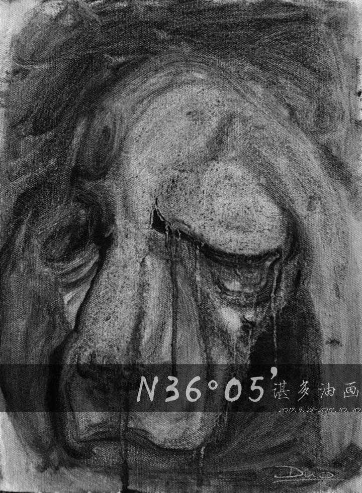 N36°05’ 谌多油画展