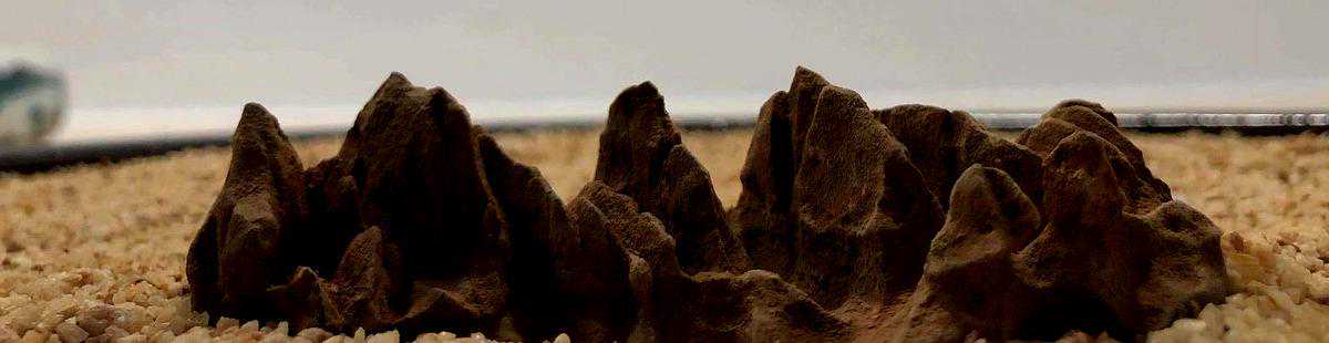 内行人挑石头都看这几点，你学会了吗？