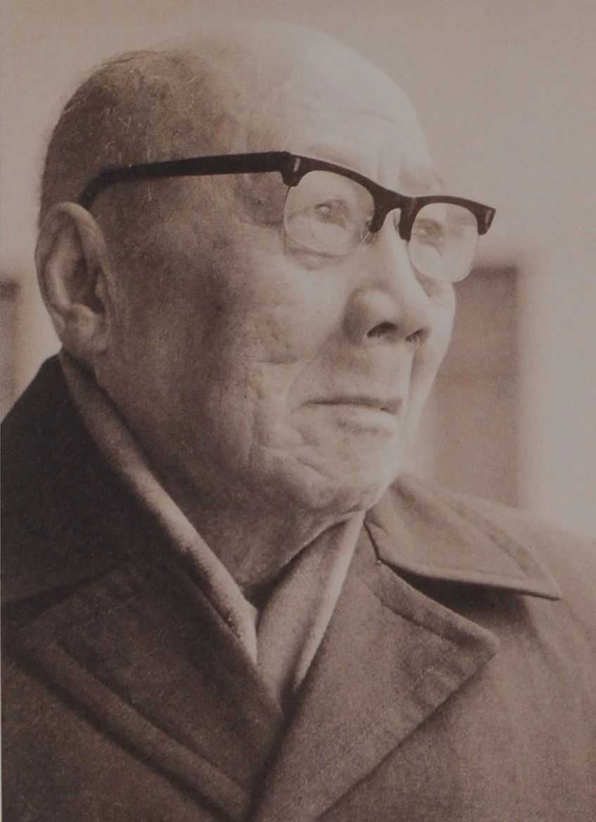 王蘧常章草,五百年来第一人 王蘧常章草,五百年来第一人