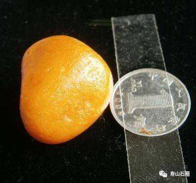 寿山月洋溪里，最容易捡到这个……难道是田黄？