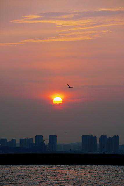 八言！（绝了）