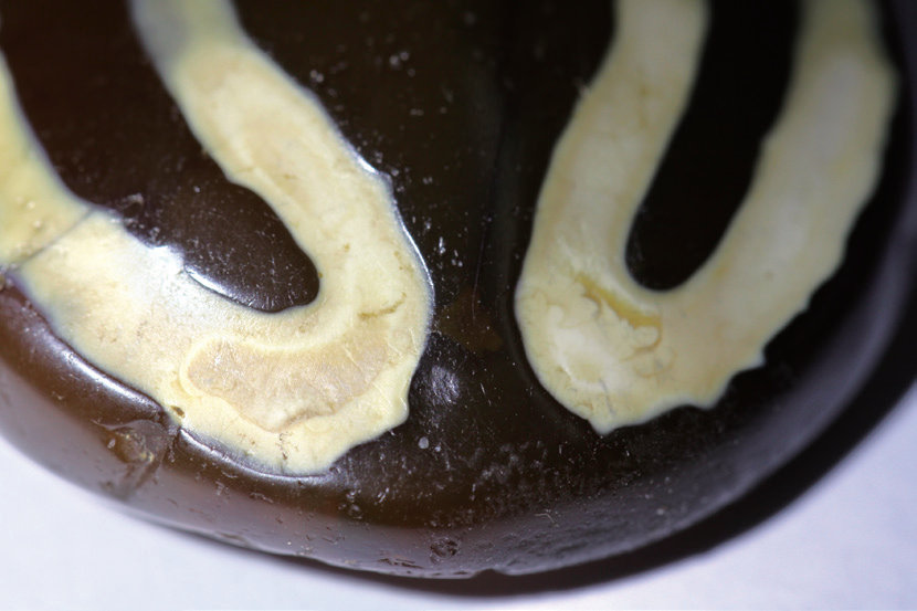 被众人追捧的古代天珠究竟是什么宝贝？