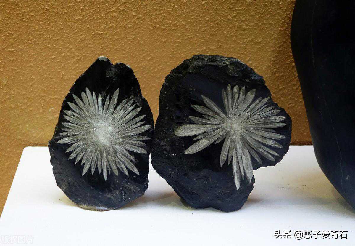 广东珍品奇石玉石，其中一方位列我国四大奇石之一，价值上亿