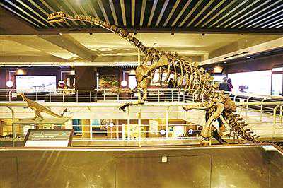 90件化石精品，有颜值有故事