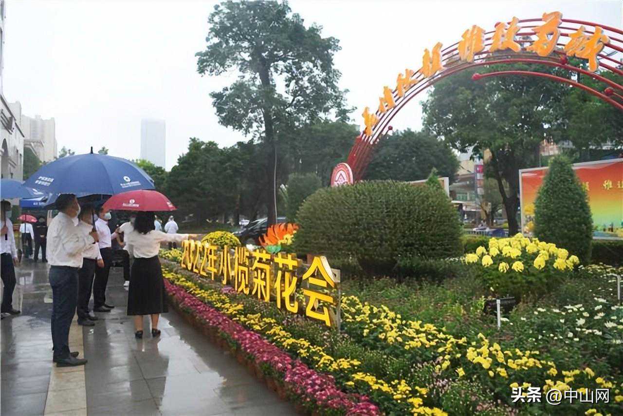 2022年中山小榄菊花会开展，首次增加线上观展渠道