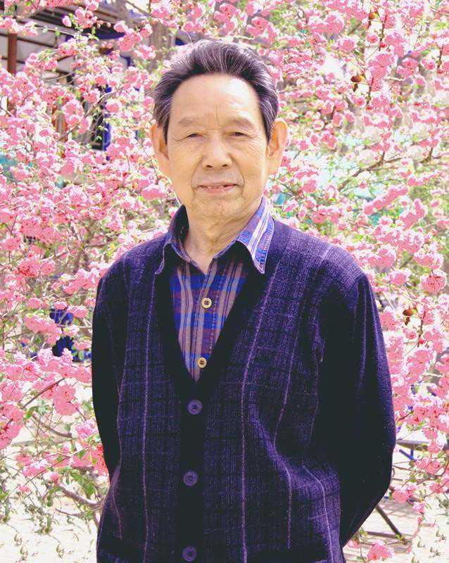 清心隽永——邵灵作品鉴赏