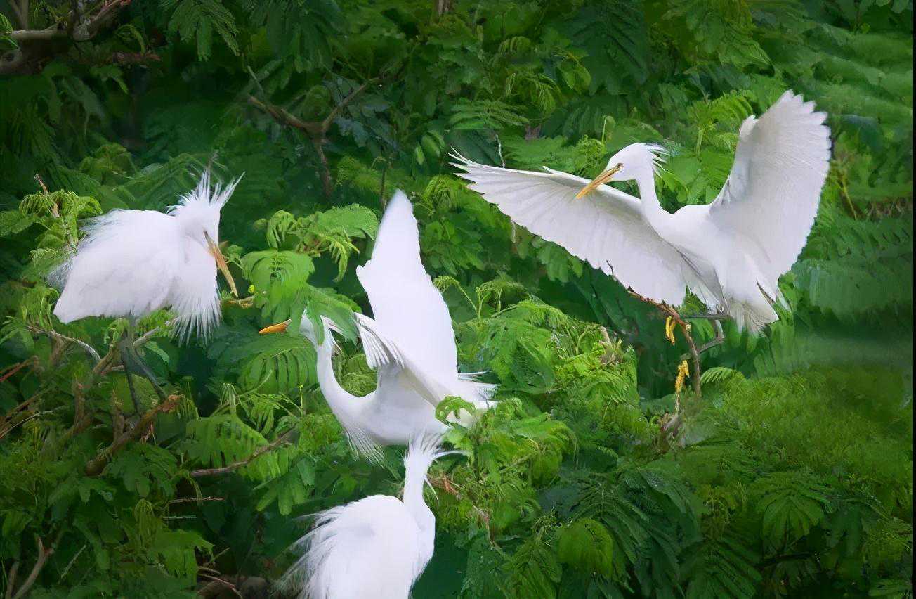 西九华山住宿指南!速度收藏啦 西九华山住宿指南!速度收藏啦