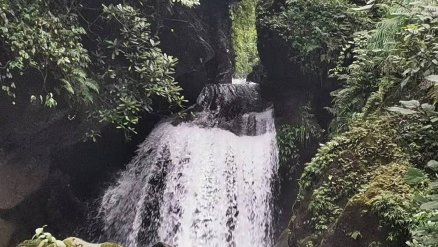 峨眉山之行（建议大家收藏，攻略写在最后）