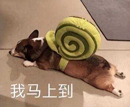 工程师必须掌握的20个模拟电路，建议收藏~