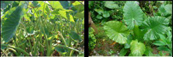 银川市（宁夏）各大医院汇总，抓紧收藏保存起来！