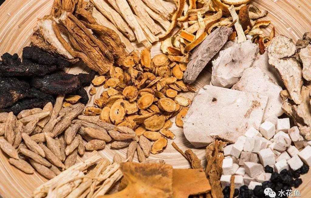 图文详解：水产动物病害施用中草药防治大全(全面，值得收藏)