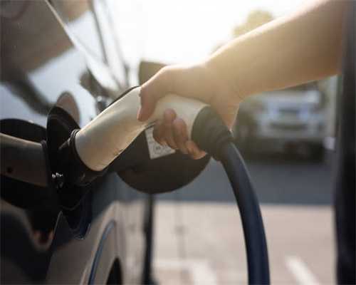 浙江画院副院长——池沙鸿