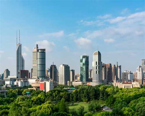 《过野》林初&陈执