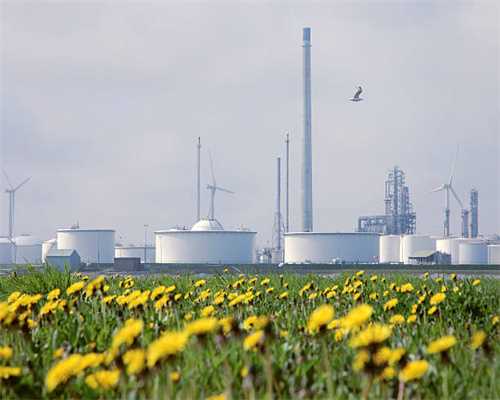 【附表格】2025主流云摄影平台最全对比，码住收藏！