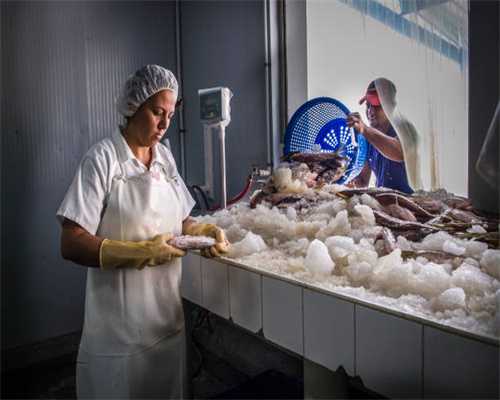 一家人与一群鹤的生死相守