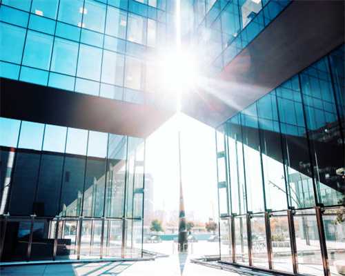 海柳，它是养不大的“千金木”具备极高药用价值！收藏价值极高