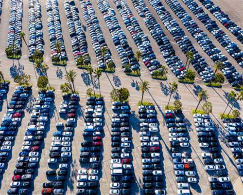 当代画牡丹大家孙泳新作品欣赏