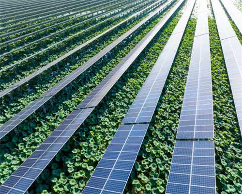 书画收藏界的绝对王者，中国四家博物馆的藏品由他提供，对中国美术史贡献最大的收藏家