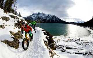 血染巴山的女神枪手邹映兰 血染巴山的女神枪手邹映兰