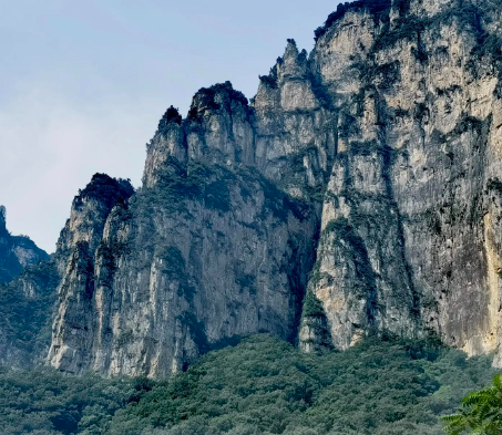 辨五谷 养脾胃 辨五谷 养脾胃