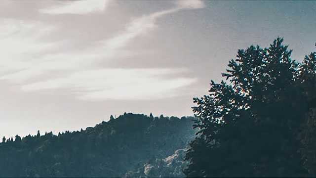 买不起古董的我,在日本古美术直播间血拼 买不起古董的我,在日本古美术直播间血拼